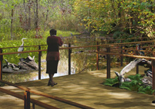 Rendering of Ocean Breeze Park, Staten Island. image of Rendering of Ocean Breeze Park, Staten Island.